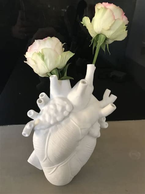 Cart Regal Virginie Cardiologie
