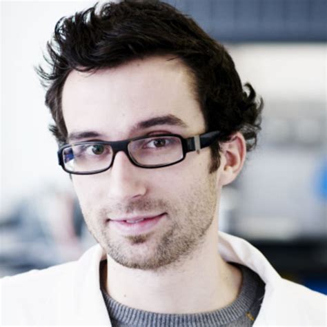 Goncalves David Pharmacien