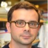Guenat David Biologie médicale